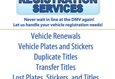 Vehicle Registration